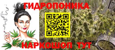 прущие грибы Новодвинск